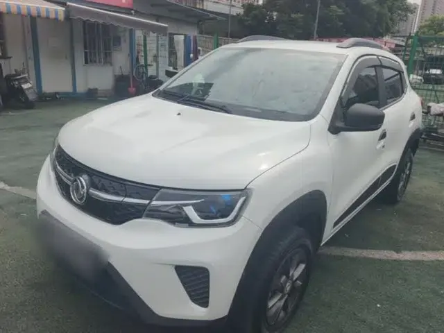 Dongfeng NAMMI EX1 2022 Revised PRO Enjoyment Version