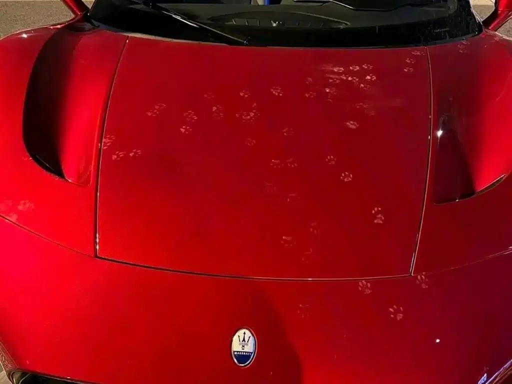Maserati MC20 2020 3.0T Standard Edition — миниатюра 5