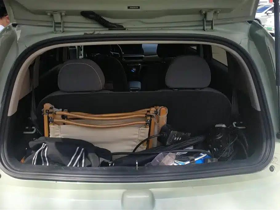 ORA White Cat 2020 Model 305km Luxury — миниатюра 4