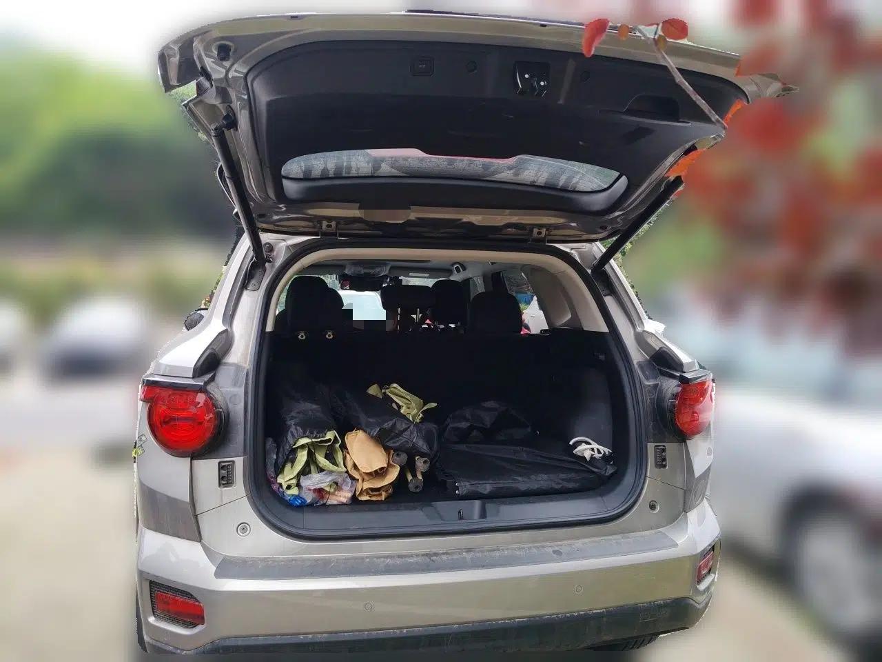 Haval H Dog New Energy 2023 DHT-PHEV 105km Tide Electric Version Plus — миниатюра 19