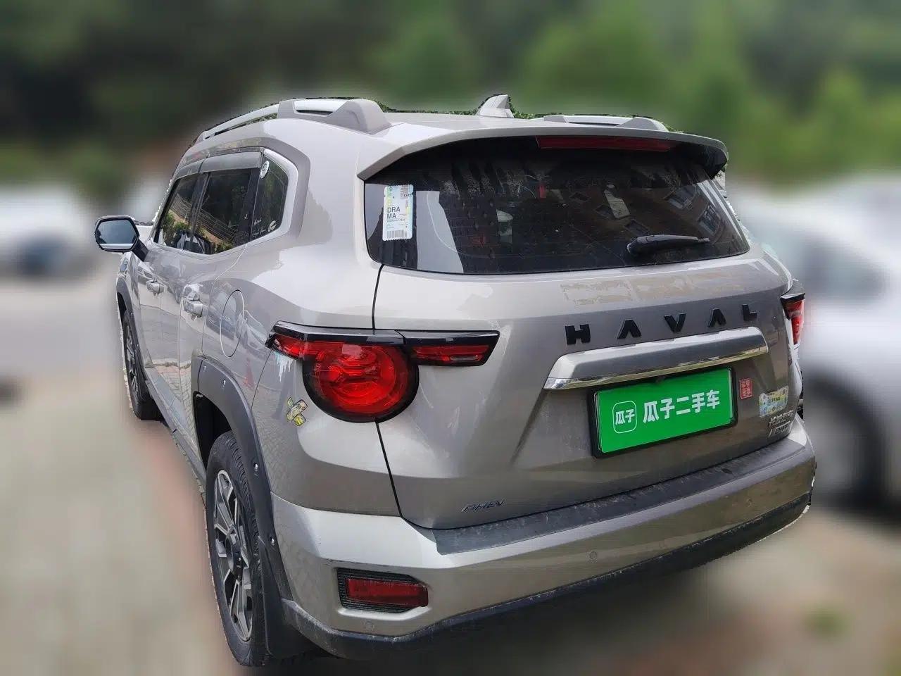Haval H Dog New Energy 2023 DHT-PHEV 105km Tide Electric Version Plus — миниатюра 4
