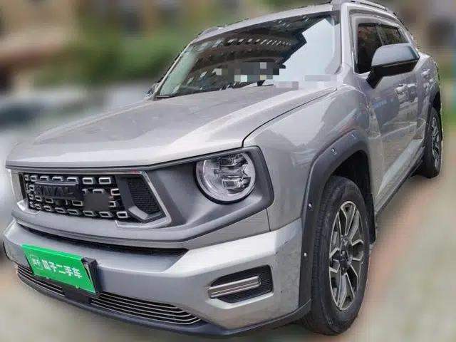 Haval H Dog New Energy 2023 DHT-PHEV 105km Tide Electric Version Plus