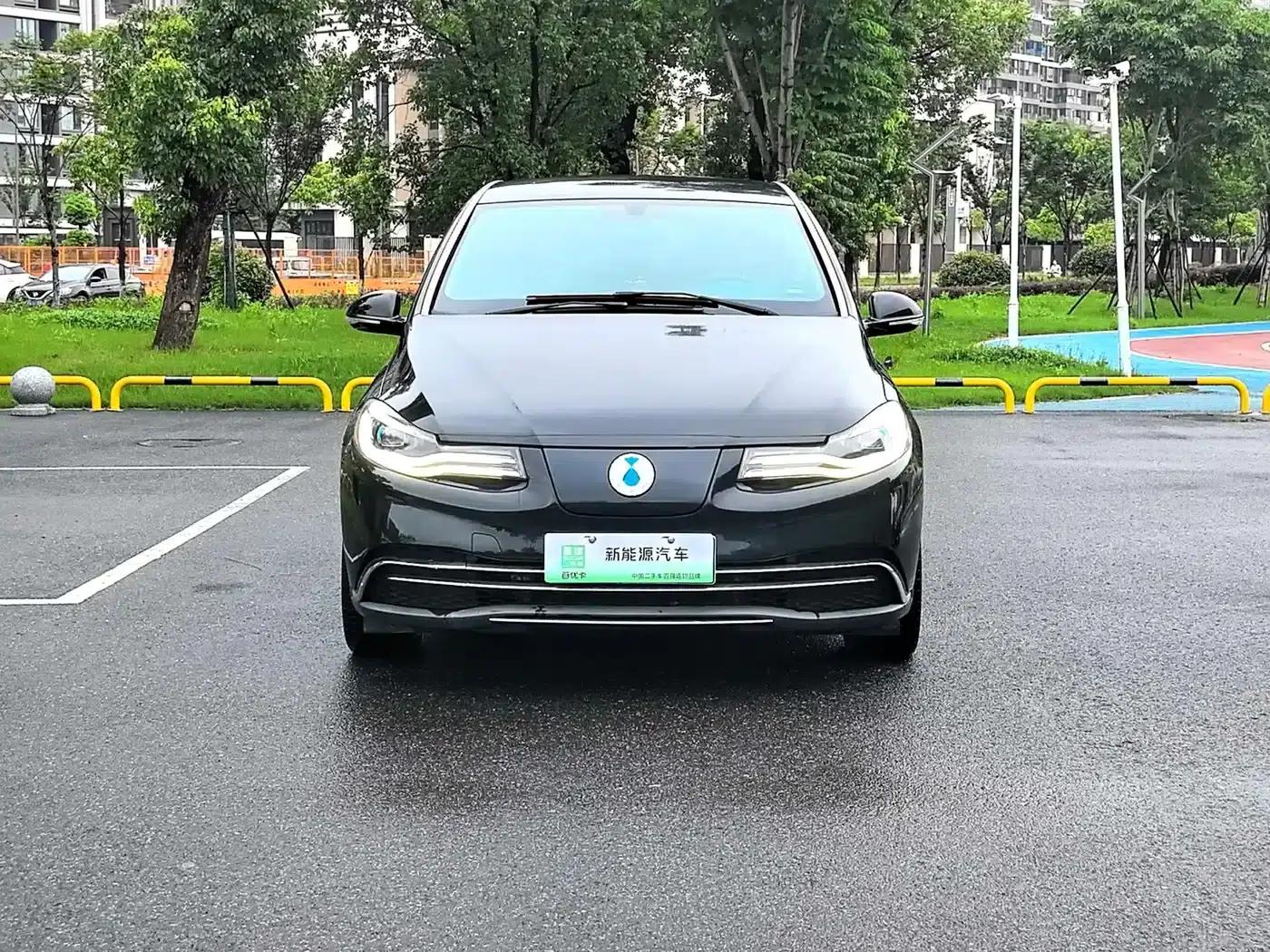 Denza 2018 500 Glory Edition — миниатюра 2
