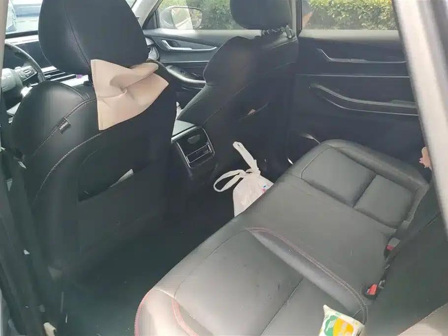 Exeed Chaser 2019 1.6T DCT Star Edition — миниатюра 11