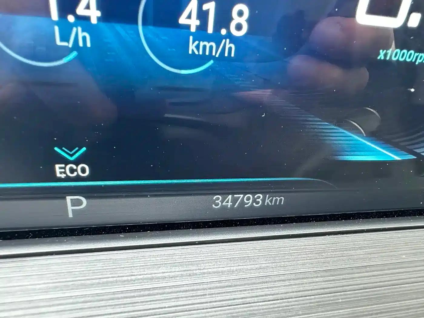 Star Chaser 2022 Wind Chaser Edition 1.5T CVT Good Things Peanut Edition — миниатюра 9