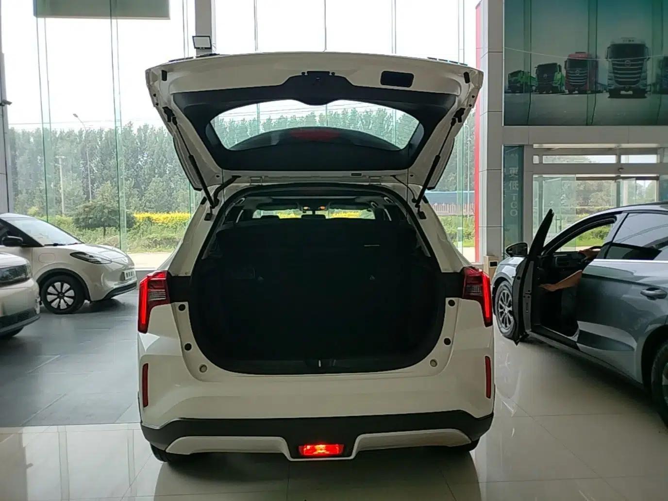 Venucia T60EV 2020 AI Enjoyment Model — миниатюра 22