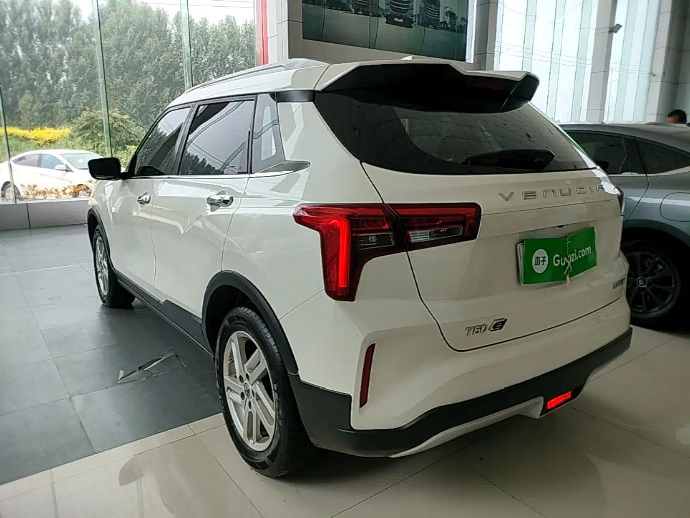 Venucia T60EV 2020 AI Enjoyment Model — миниатюра 4