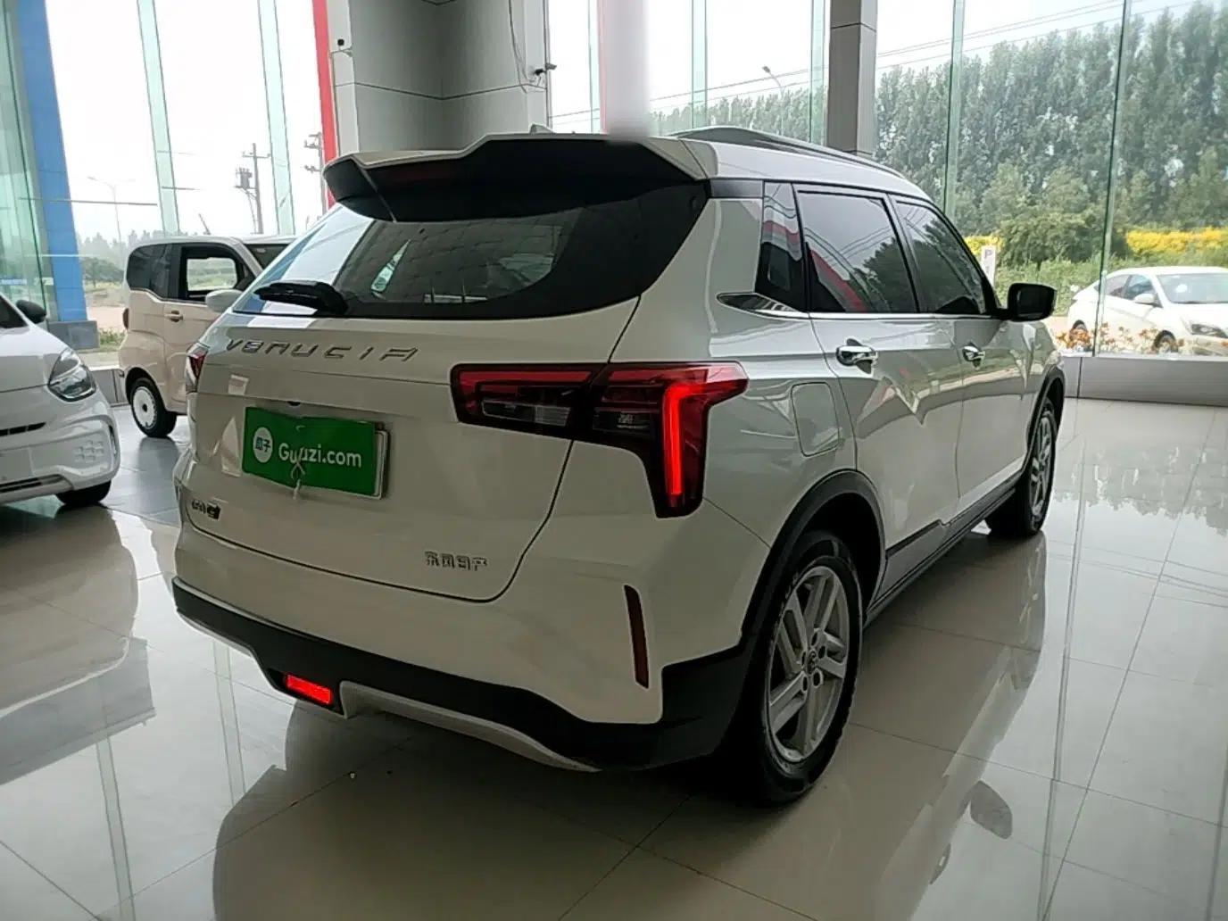 Venucia T60EV 2020 AI Enjoyment Model — миниатюра 6