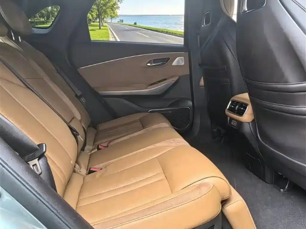 AION LX 2019 model 80 — миниатюра 8