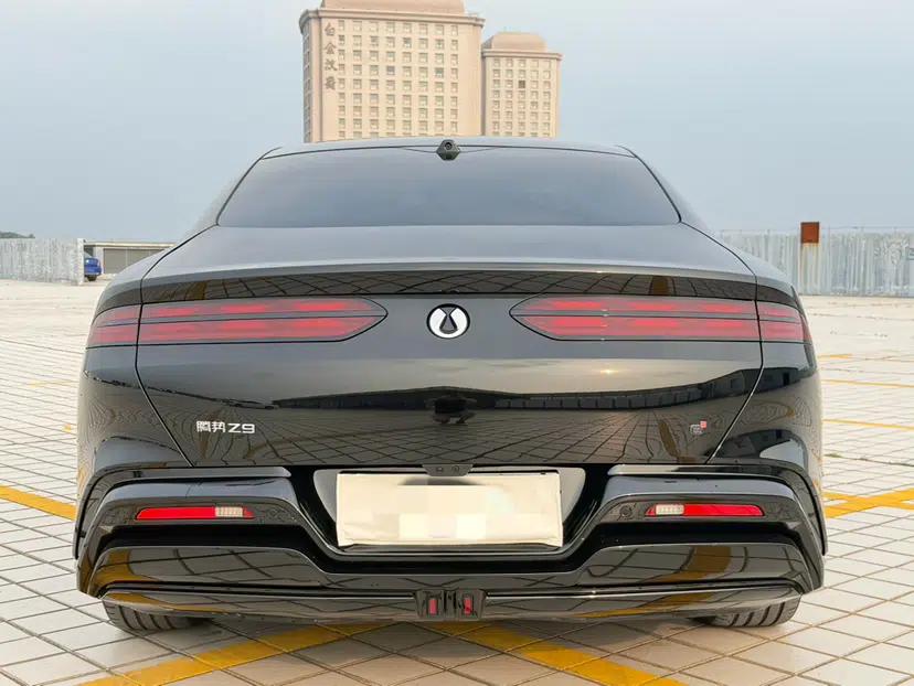 Denza Z9 2024 1100 km Four-Wheel Drive Max Version — миниатюра 13
