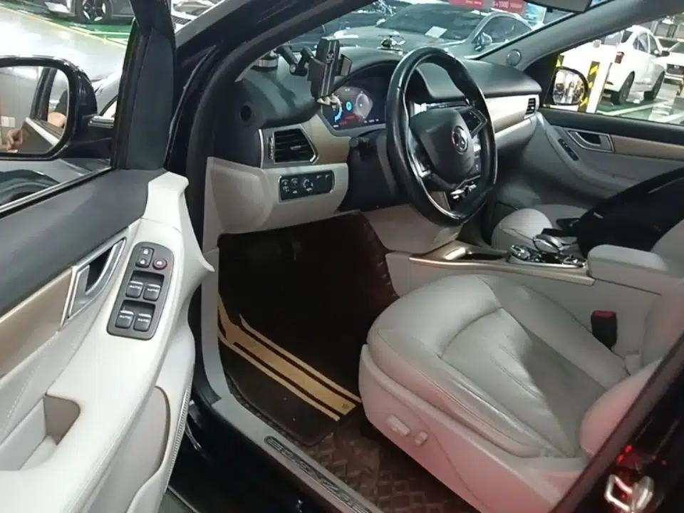 Denza 2018 450 Base Version — миниатюра 18