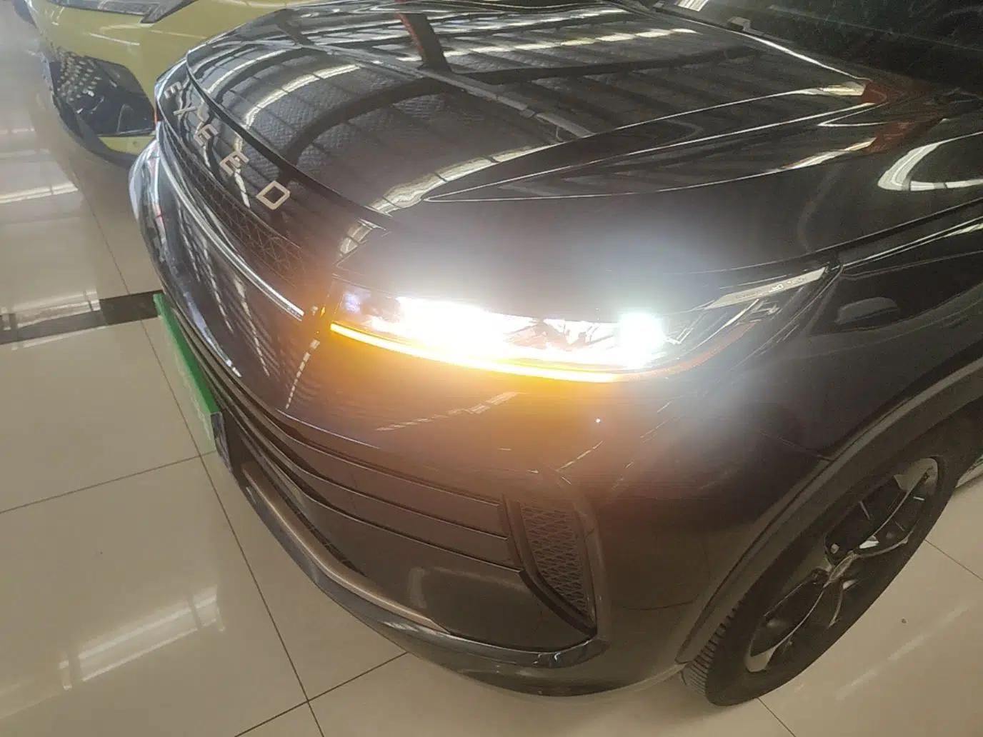 EXEED Zhuifeng 2022 Versailles 1.6T DCT "Chasing the Wind" Edition — миниатюра 8