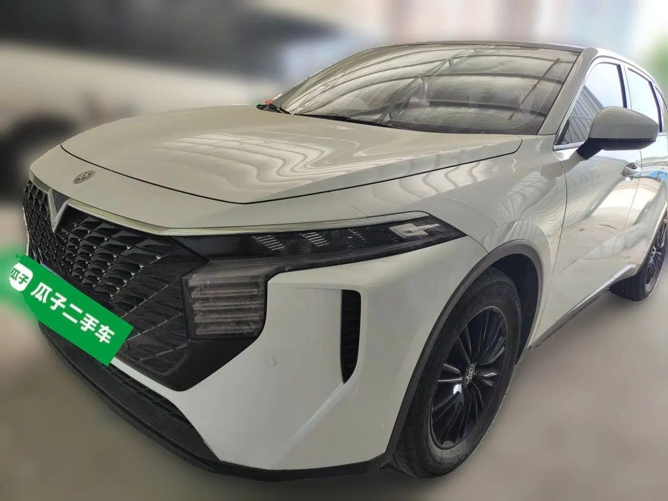Venucia V 2022 260T Black Horse Edition · Idol — миниатюра 1