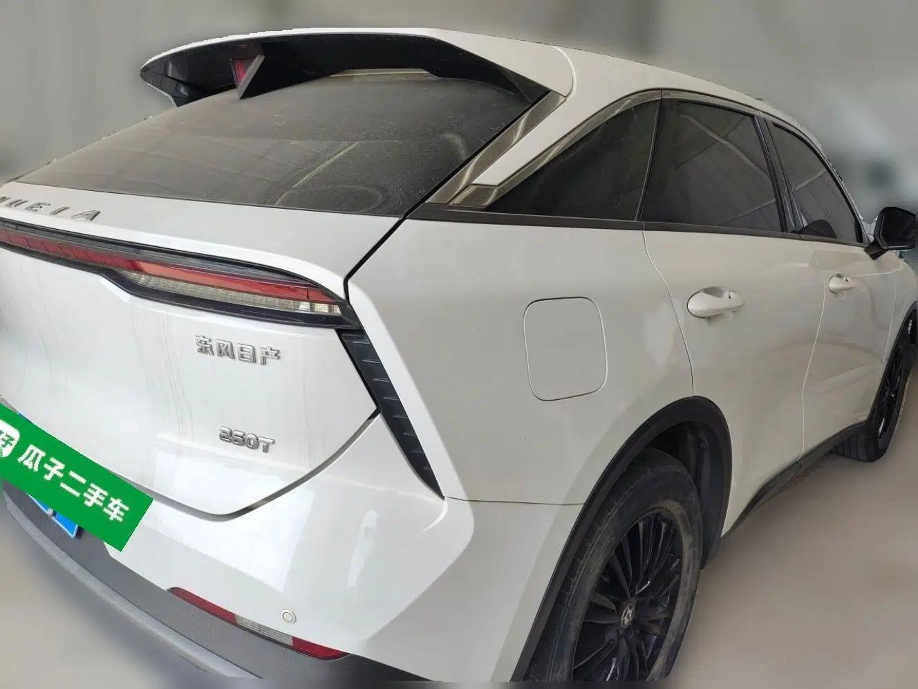 Venucia V 2022 260T Black Horse Edition · Idol — миниатюра 6