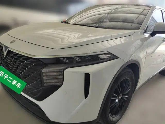 Venucia V 2022 260T Black Horse Edition · Idol