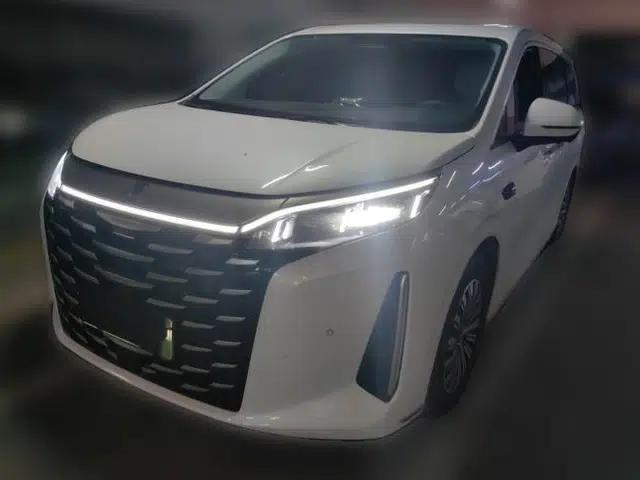 BYD Xia 2025 DM-i 1.5T 100km Supreme Edition