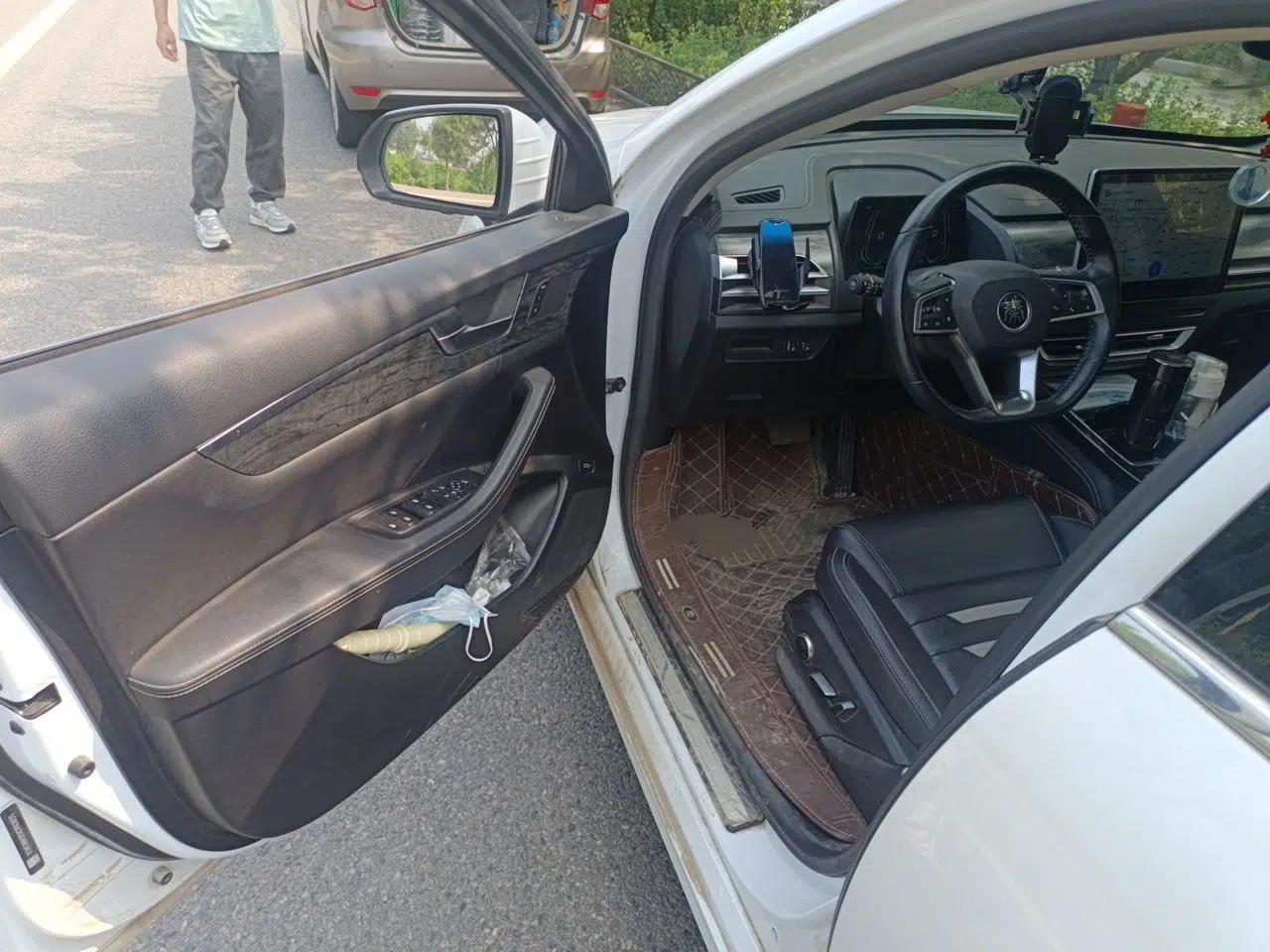 BYD Qin Pro New Energy 2019 EV Super Edition High-Power Smart Connect Luxurious Model — миниатюра 16