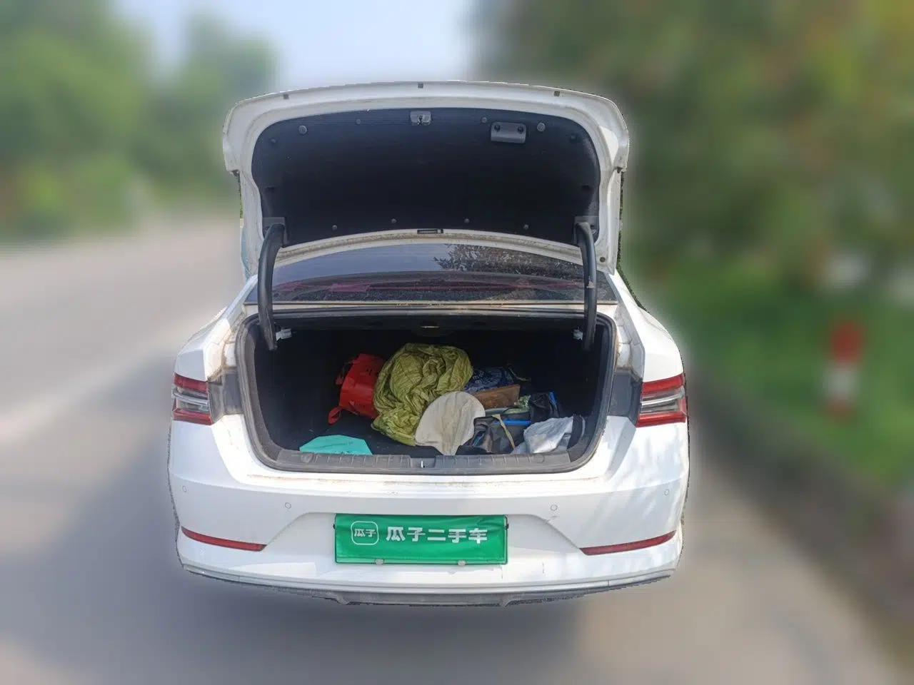 BYD Qin Pro New Energy 2019 EV Super Edition High-Power Smart Connect Luxurious Model — миниатюра 19