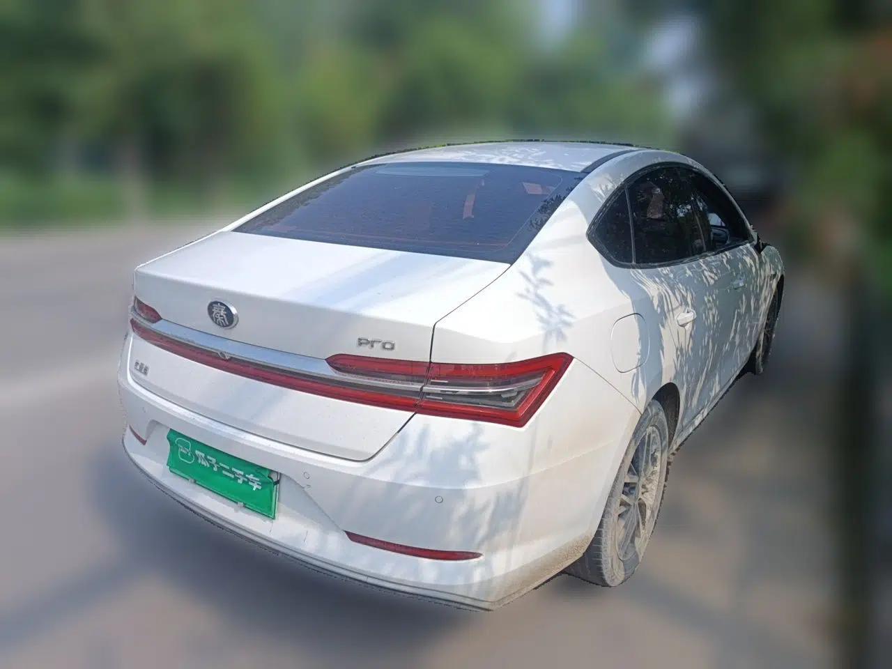 BYD Qin Pro New Energy 2019 EV Super Edition High-Power Smart Connect Luxurious Model — миниатюра 6