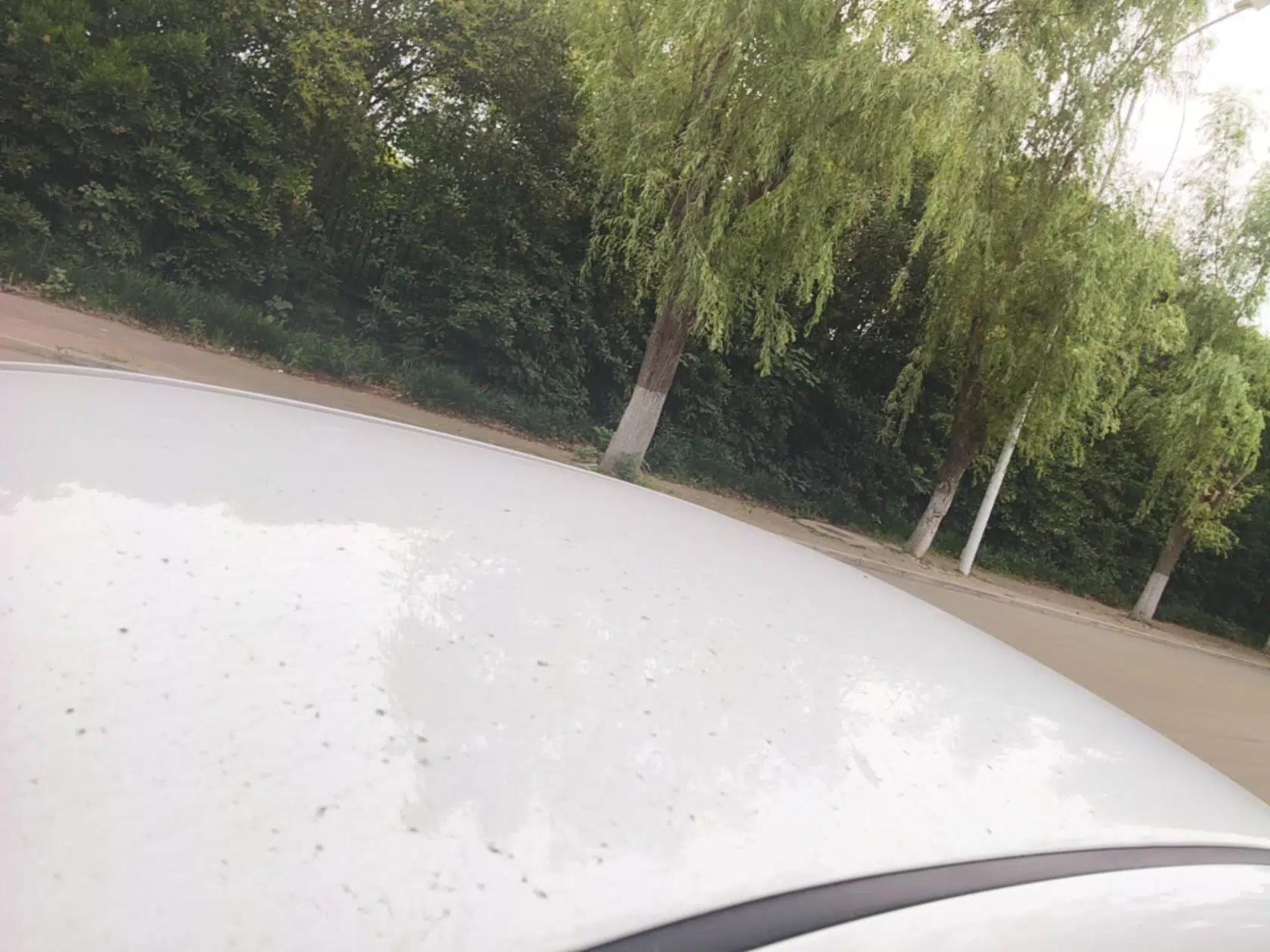 BYD Qin 2019 1.5L Automatic Luxury Model — миниатюра 7