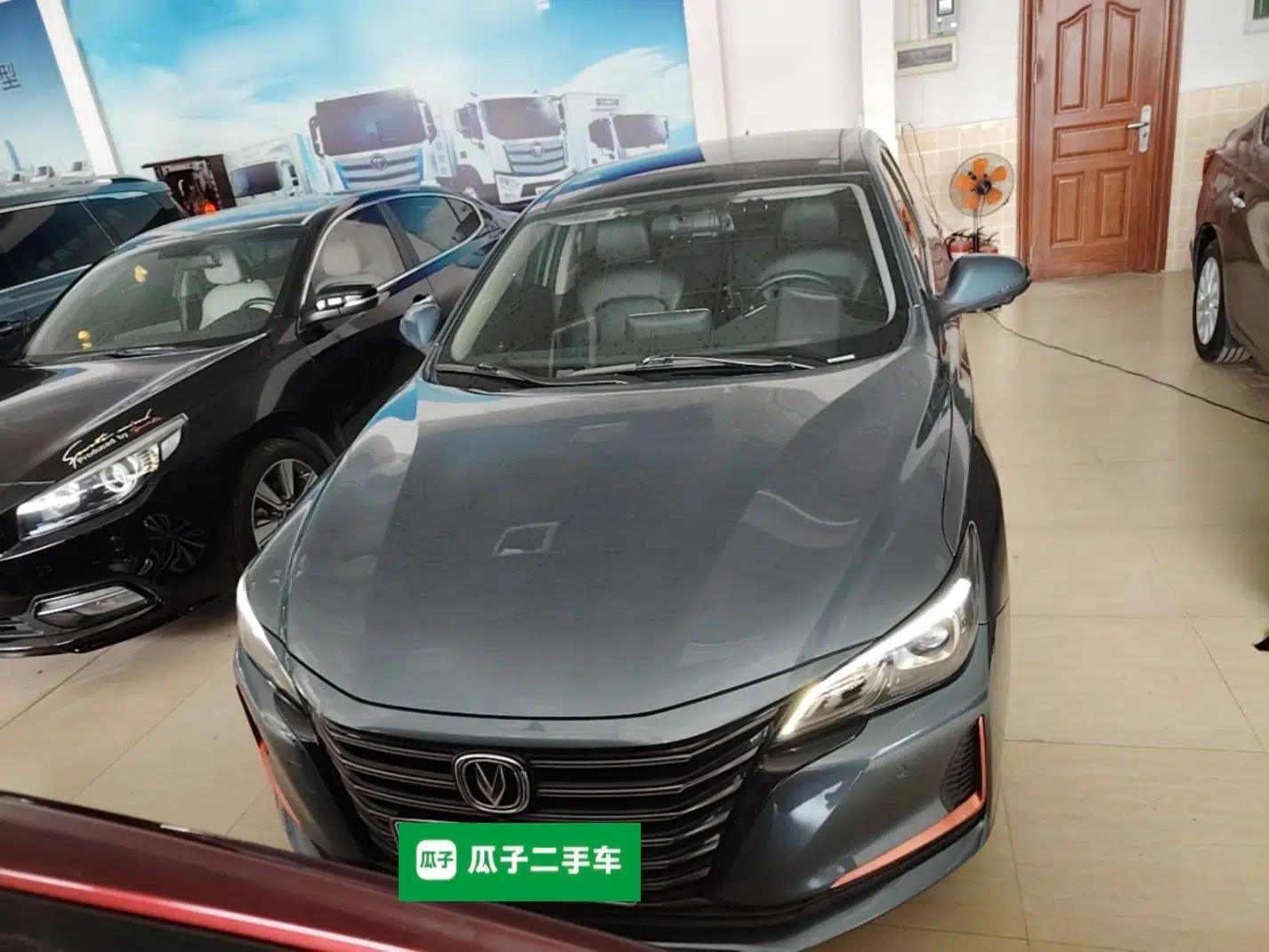 CHANGAN Ruicheng CC 2021 Blue Whale Edition 1.5T DCT Prestige Model — миниатюра 2
