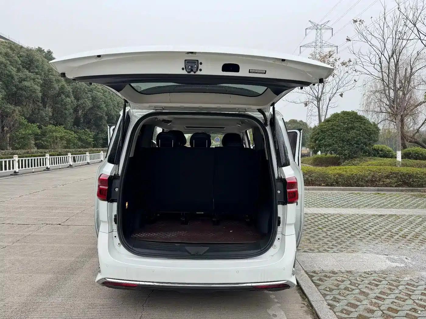 Maxus G20 2021 PLUS 2.0T Gasoline Automatic Luxury Edition — миниатюра 11