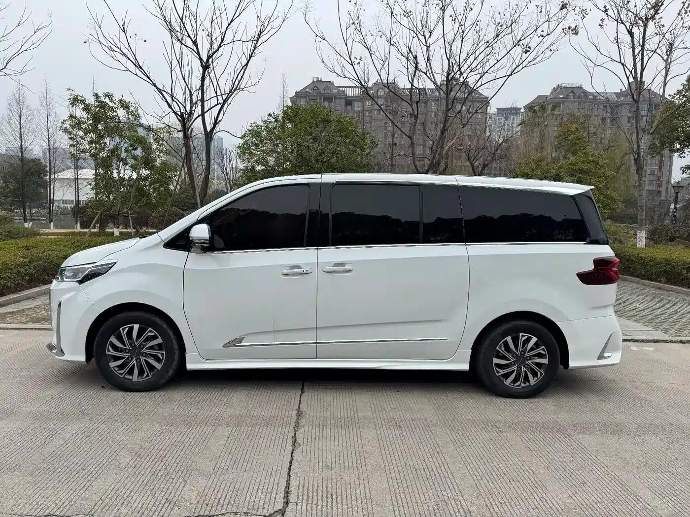 Maxus G20 2021 PLUS 2.0T Gasoline Automatic Luxury Edition — миниатюра 13