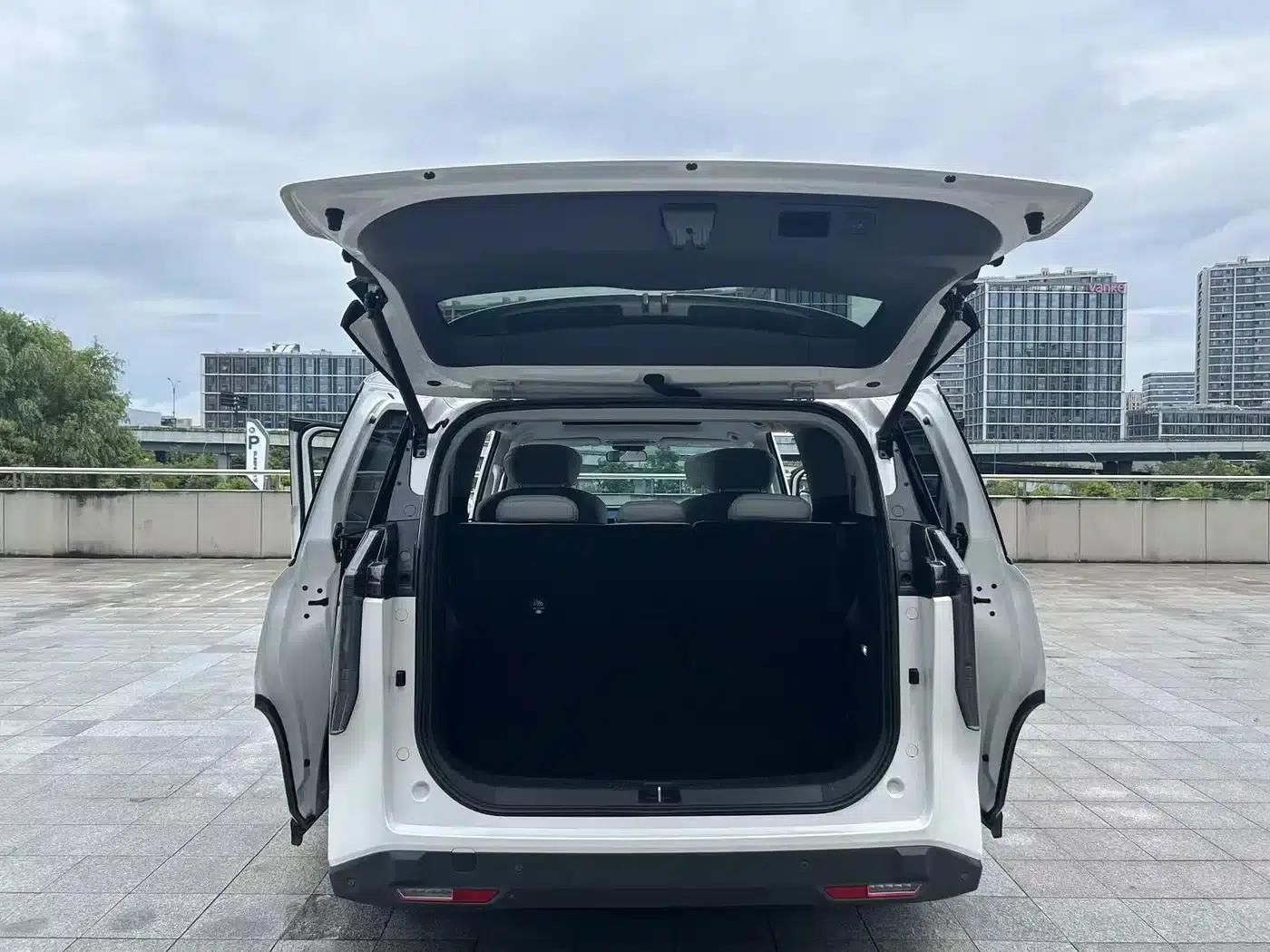 Everyone 7 2024 Super Hybrid Long Range Luxury Edition — миниатюра 12