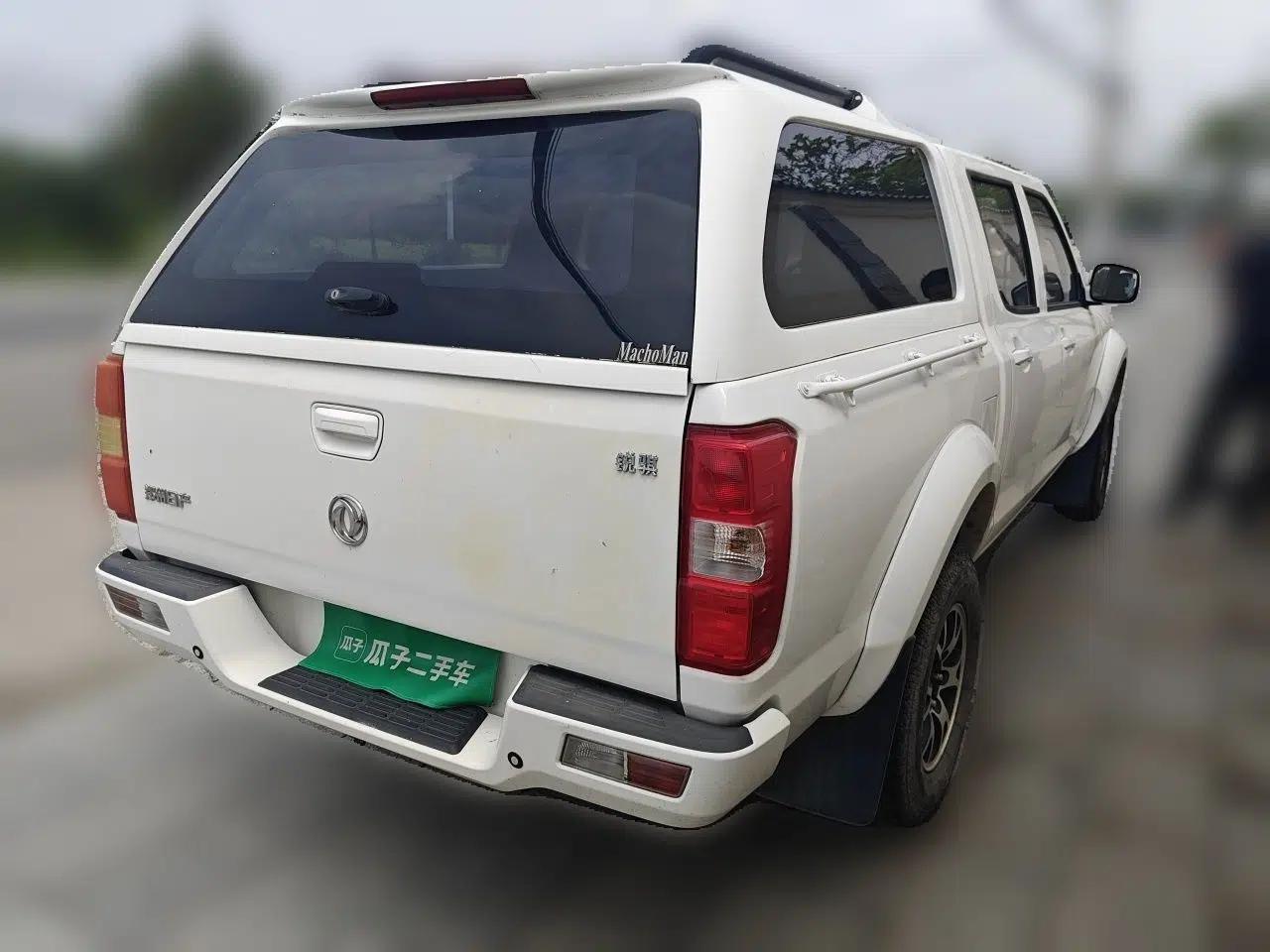 Dongfeng Ruichi 2018 2.4L Gasoline 4x4 Standard Version ZG24 — миниатюра 6