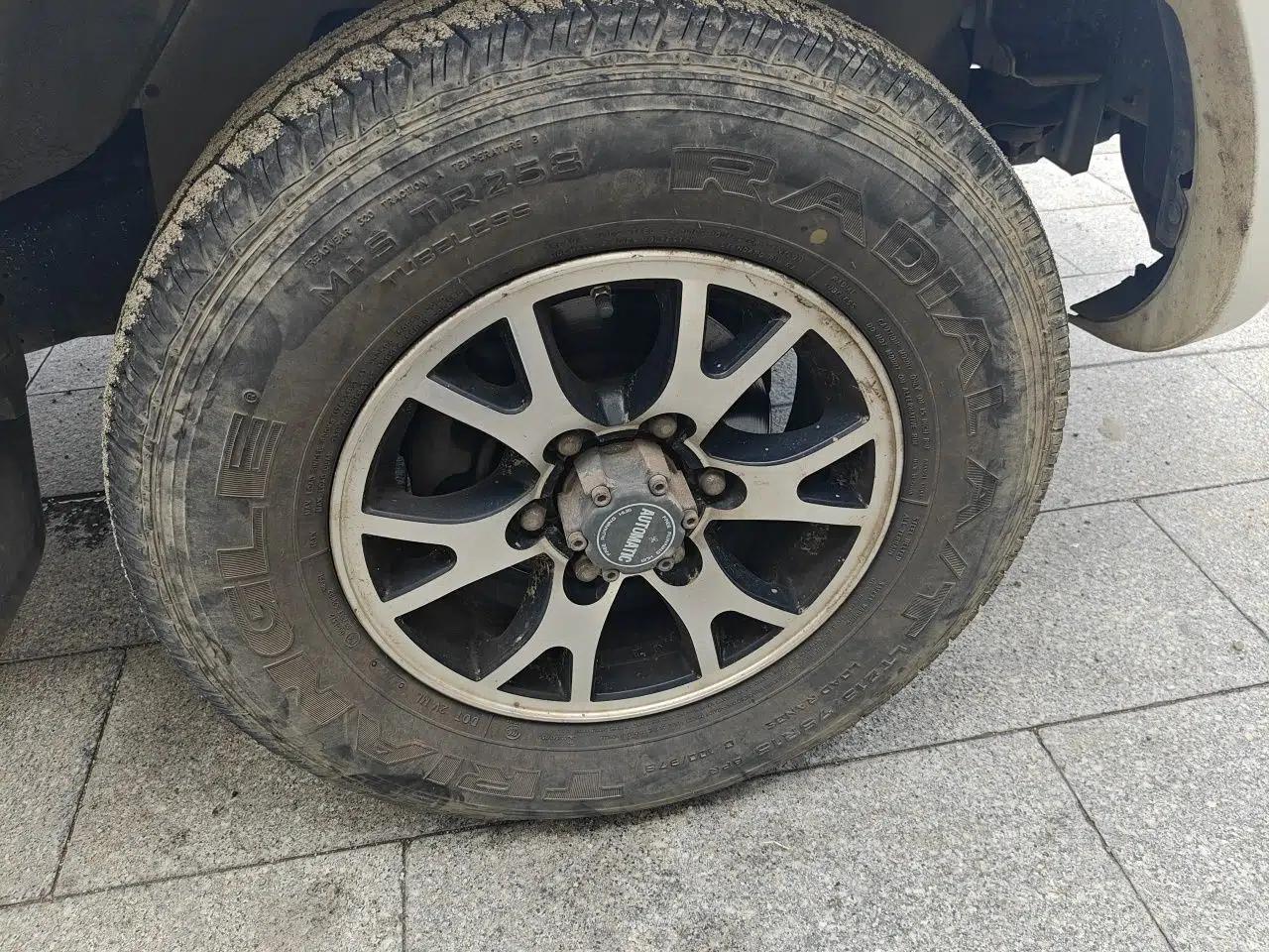 Dongfeng Ruichi 2018 2.4L Gasoline 4x4 Standard Version ZG24 — миниатюра 8