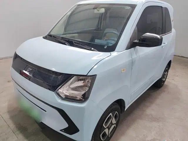 Dongfeng Fengon MINIEV 2022 Candy-Style Lollipop