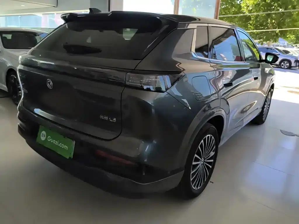 Dongfeng Fengshen L8 2025 Model 185KM Dream Edition — миниатюра 7