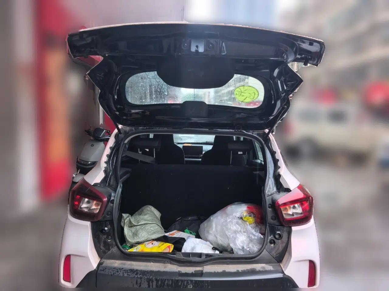 Dongfeng NAMMI BOX 2022 Light Wind Edition 201KM Advanced Model — миниатюра 19