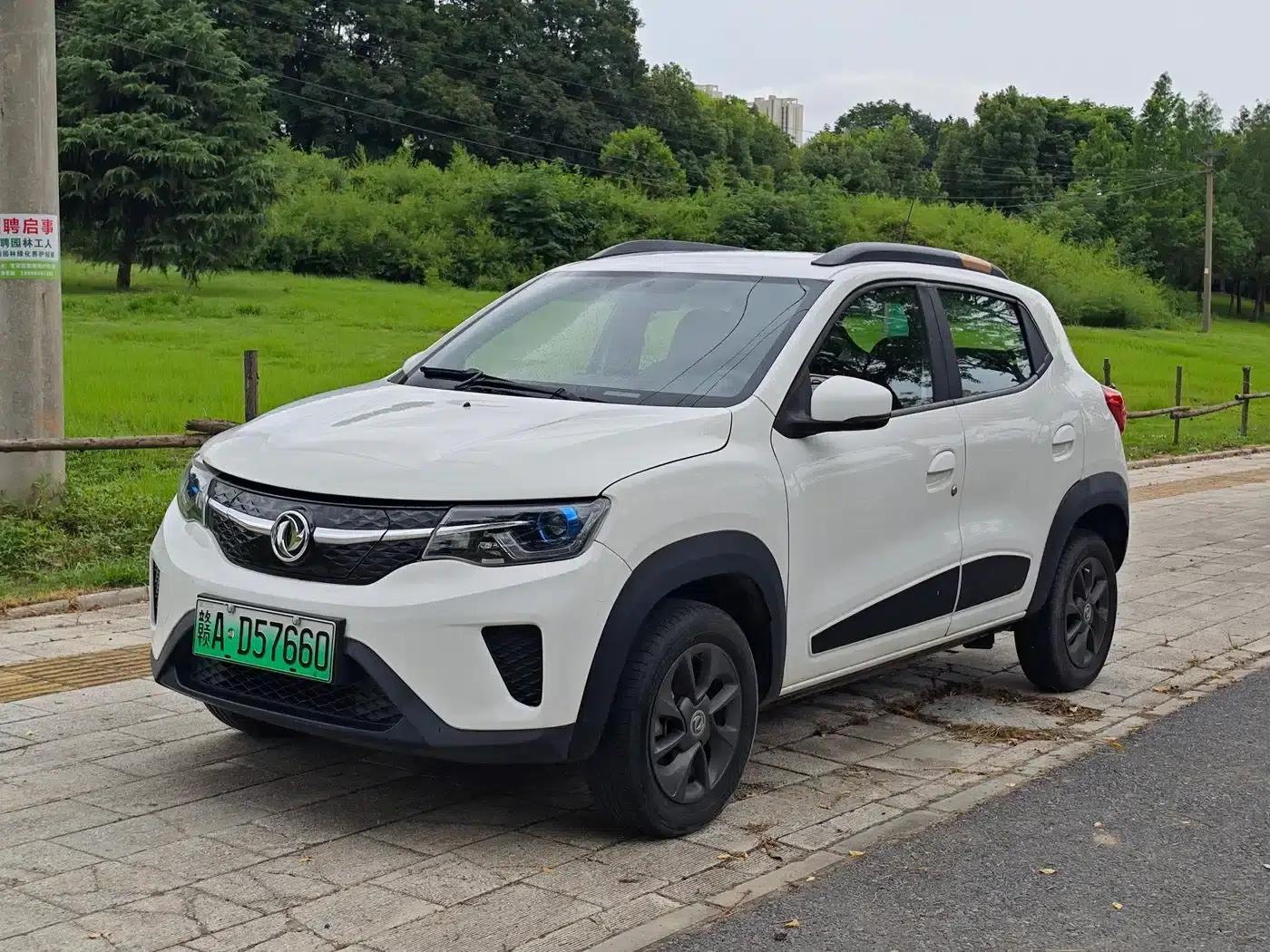 Nano EX1 2022 Model - Facelift PRO Tiger Edition Advanced Version — миниатюра 1