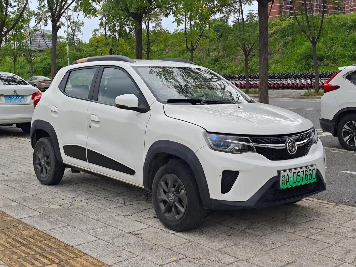 Nano EX1 2022 Model - Facelift PRO Tiger Edition Advanced Version — миниатюра 3