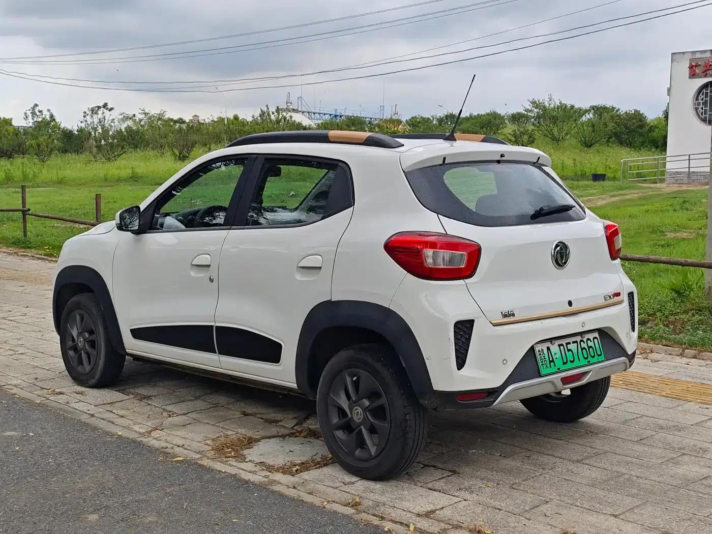 Nano EX1 2022 Model - Facelift PRO Tiger Edition Advanced Version — миниатюра 9