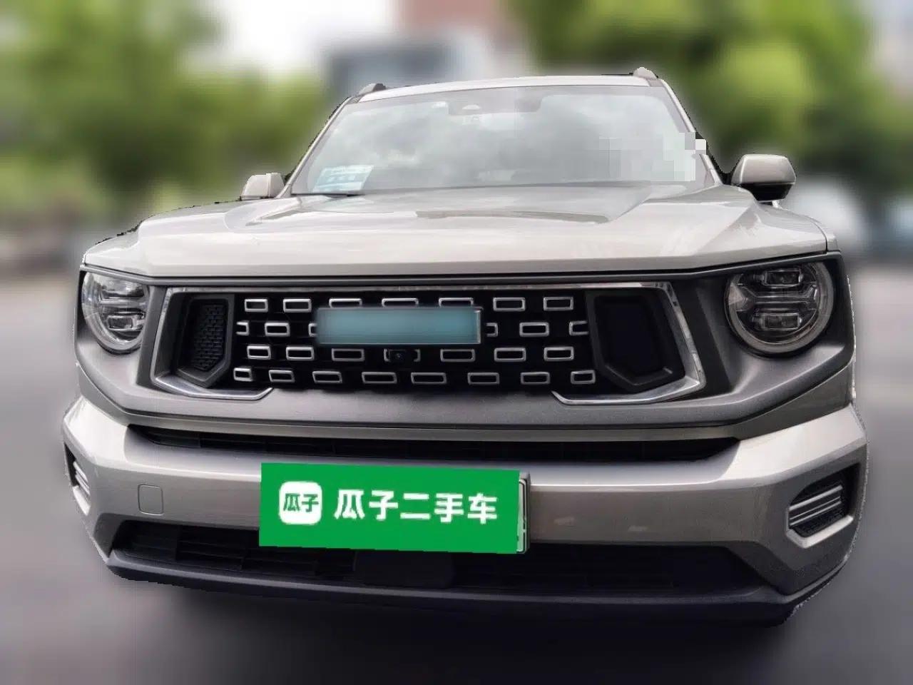 Haval H Dog New Energy 2023 DHT-PHEV 105km Tide Electric Version Plus — миниатюра 2