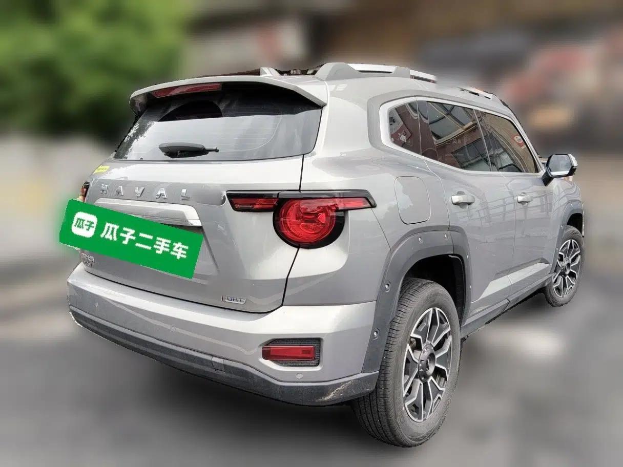 Haval H Dog New Energy 2023 DHT-PHEV 105km Tide Electric Version Plus — миниатюра 4