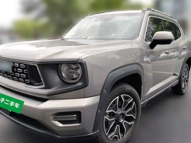 Haval H Dog New Energy 2023 DHT-PHEV 105km Tide Electric Version Plus