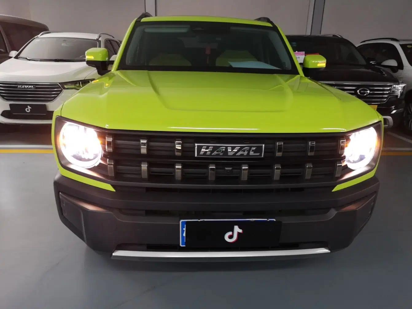 Haval X DOG 2022 1.5T DCT Two-Wheel Drive Trendy Edition — миниатюра 2