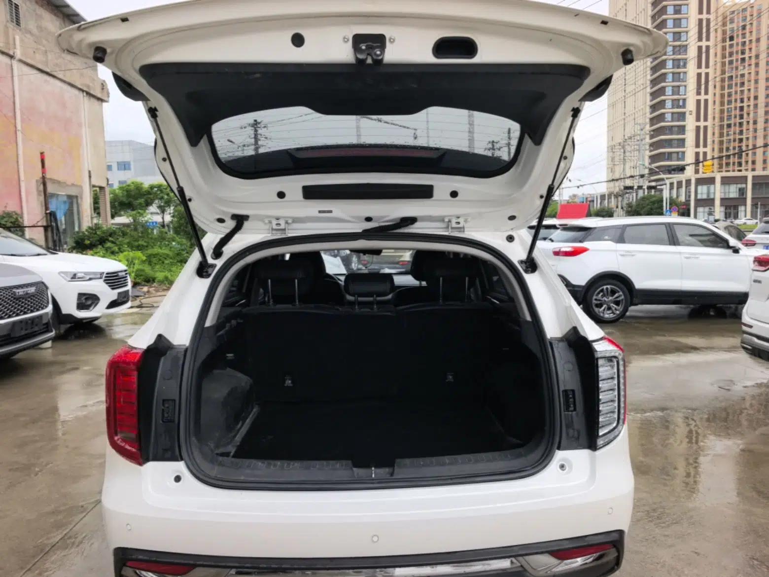 Haval JOLION 2021 1.5T Automatic Grand Three-Volume Version — миниатюра 22