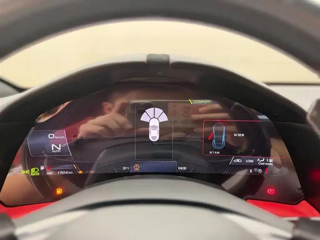 Roma 2020 3.9T V8 — миниатюра 7