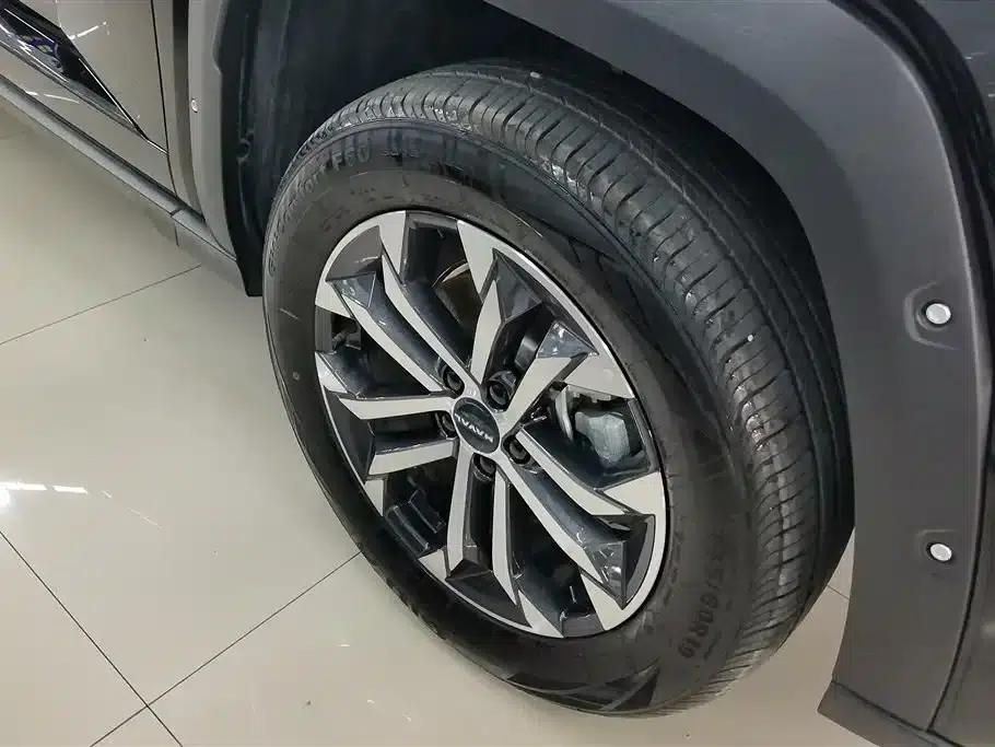 Haval Big Dog PLUS 2023 1.5T 2WD Trendy Wild Edition Plus — миниатюра 6