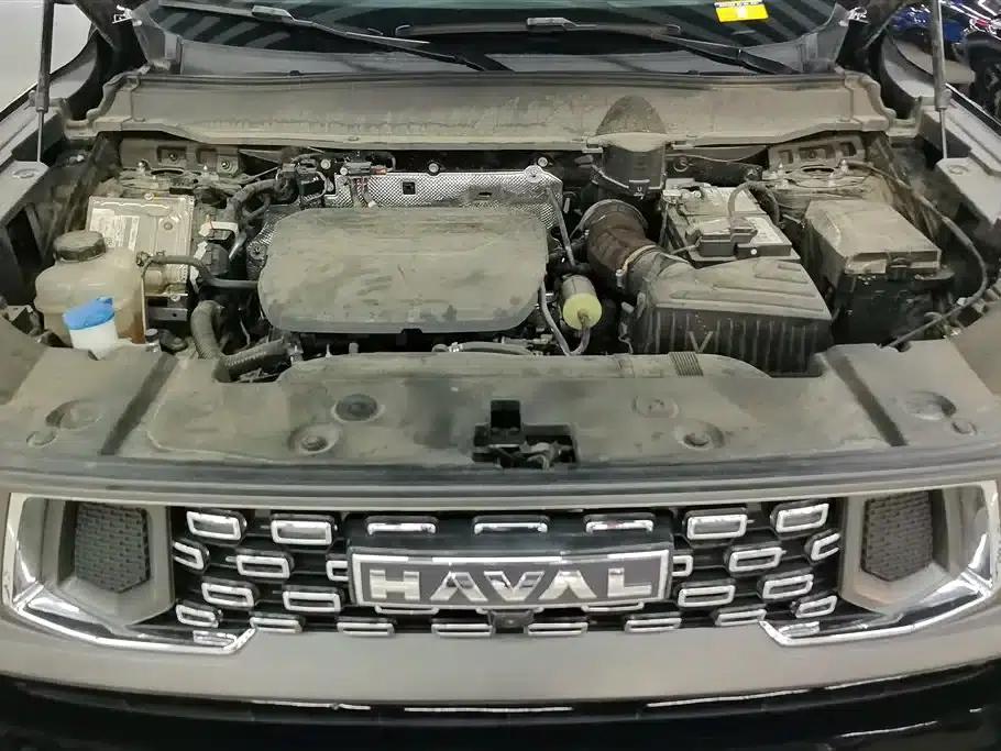 Haval Big Dog PLUS 2023 1.5T 2WD Trendy Wild Edition Plus — миниатюра 10