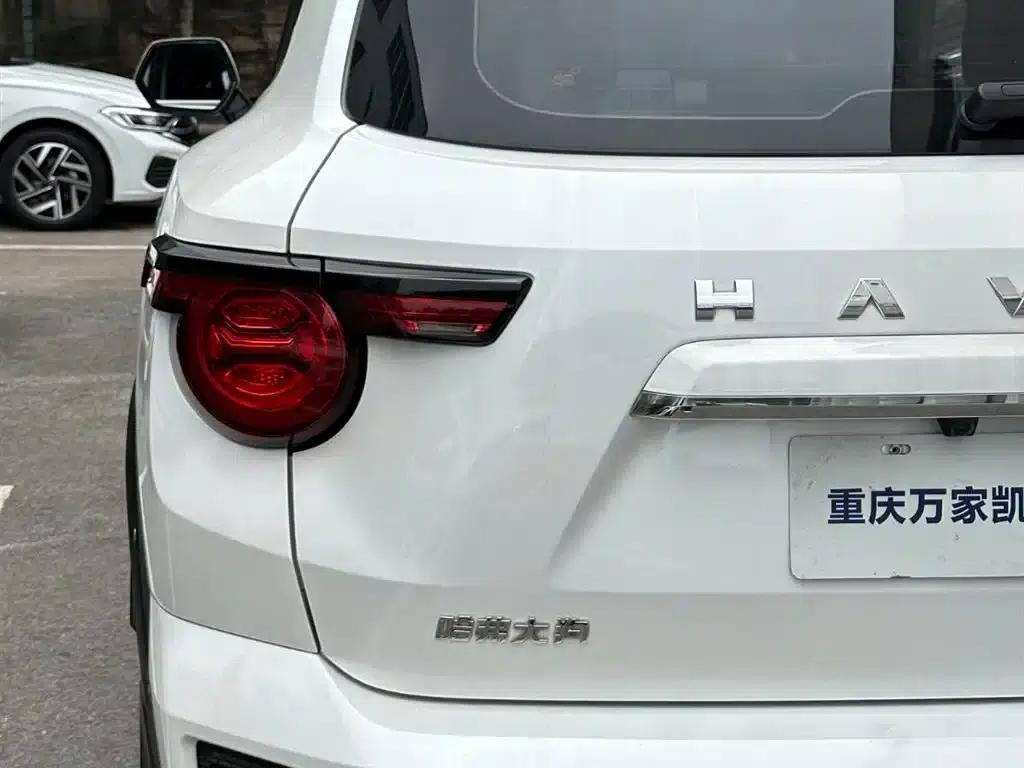 Haval Big Dog PLUS 2023 2.0T 2WD Trendy Wild Edition — миниатюра 15