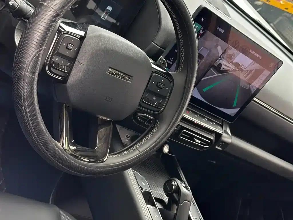 Haval Big Dog PLUS 2023 2.0T 2WD Trendy Wild Edition — миниатюра 22