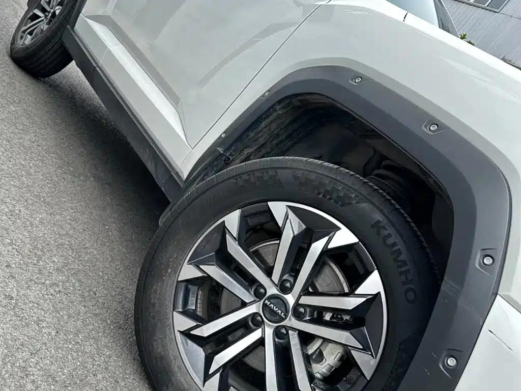 Haval Big Dog PLUS 2023 2.0T 2WD Trendy Wild Edition — миниатюра 27