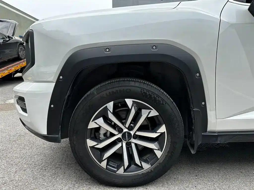 Haval Big Dog PLUS 2023 2.0T 2WD Trendy Wild Edition — миниатюра 31