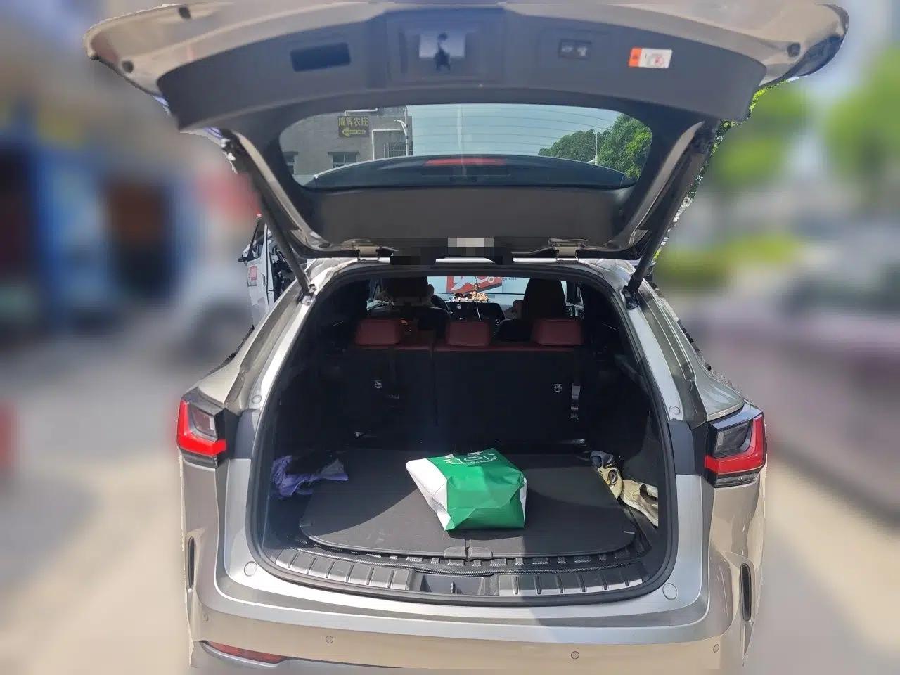 Lexus NX New Energy 2023 400h+ Comfort Edition — миниатюра 23