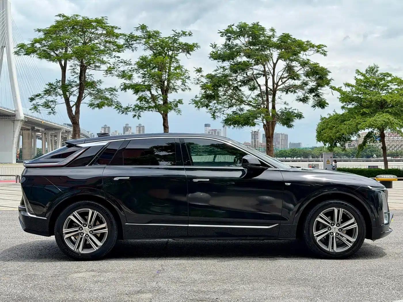 iQ Ruige 2024 Rear-Wheel Drive Standard Range Luxury Edition — миниатюра 6